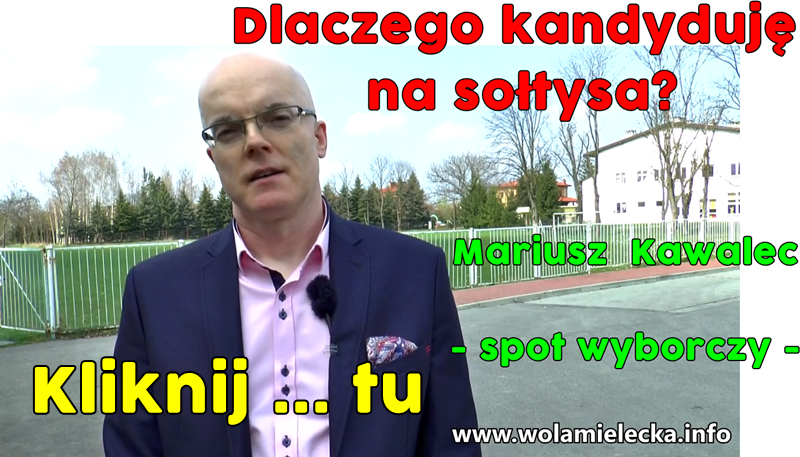 spot