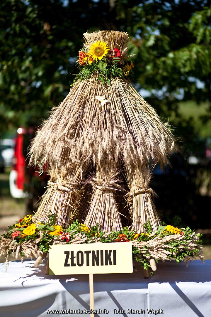 wieniec