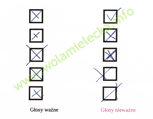g�osowanie